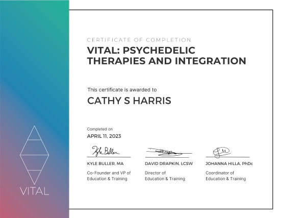 Vital: Psychedelic Therapies And Integration